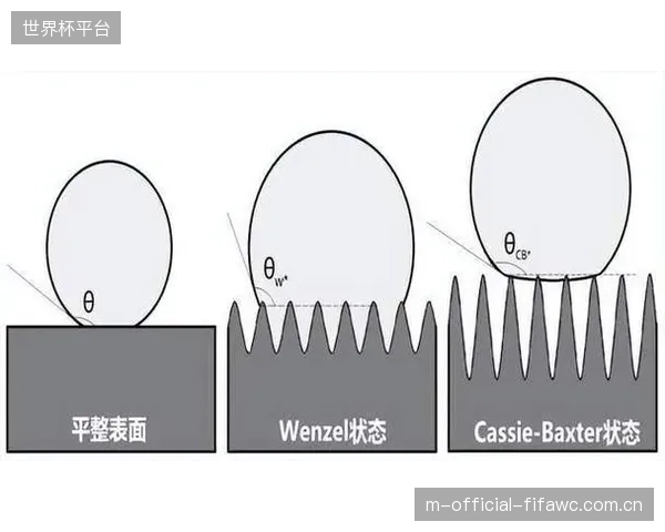 二氧化硅涂层号称持久，但轻微的板底划伤就需完全重涂，这是否固化了新的消费陷阱？